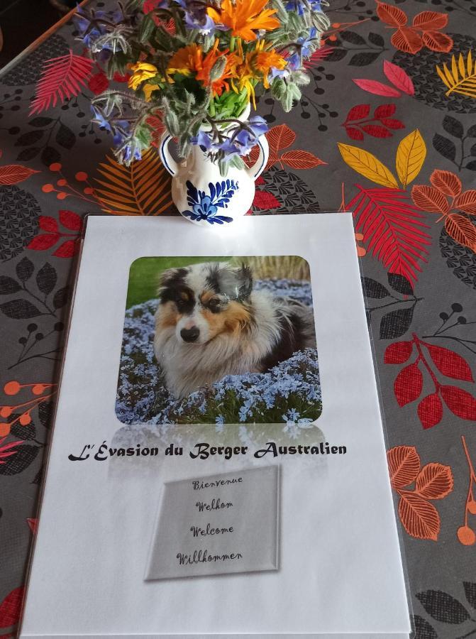 Apartament L'Evasion Du Berger Australien Couvin Zewnętrze zdjęcie